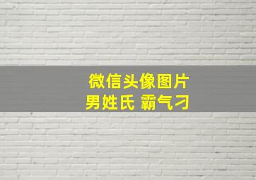 微信头像图片男姓氏 霸气刁